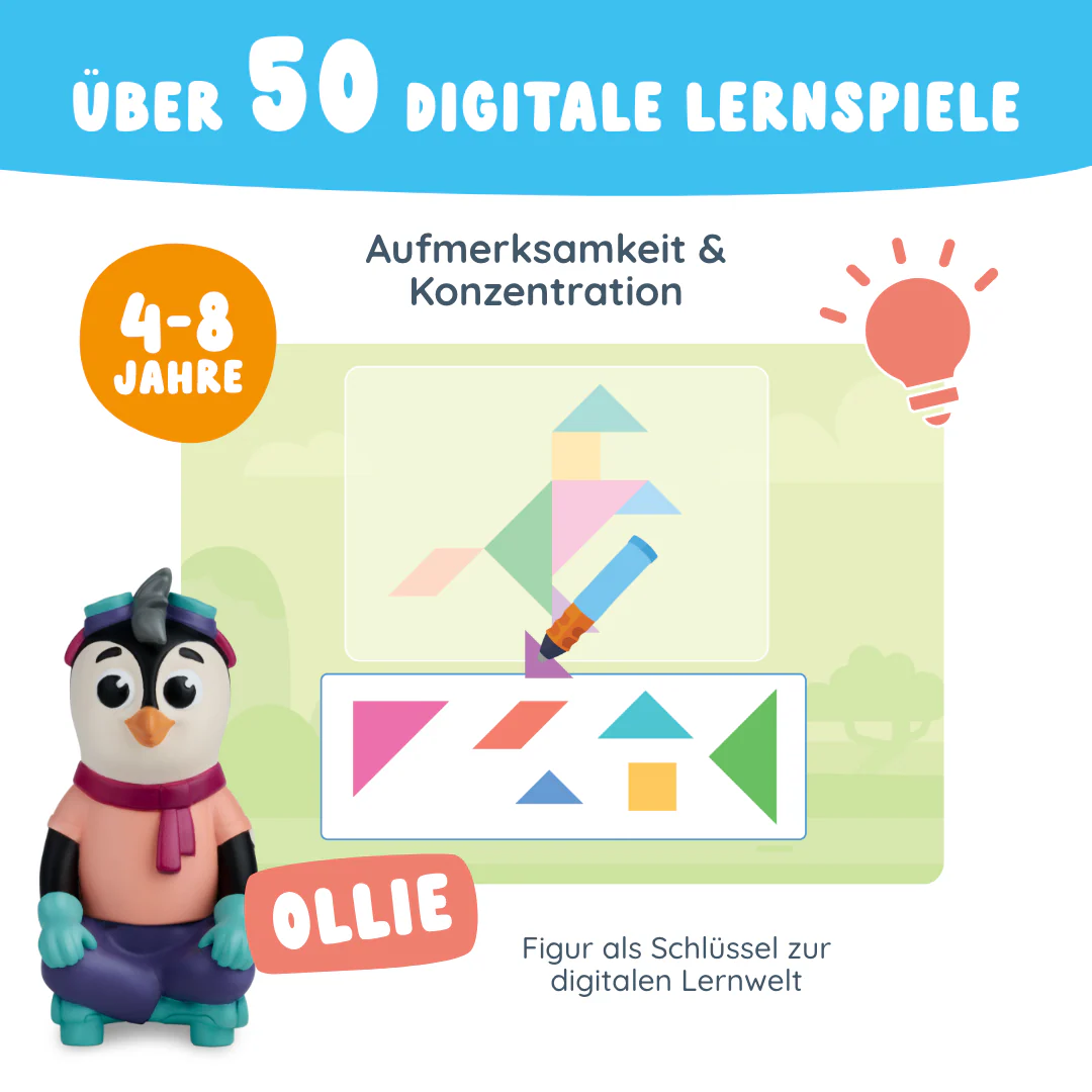 Ollie "Aufmerksamkeit & Konzentration" - Image 3